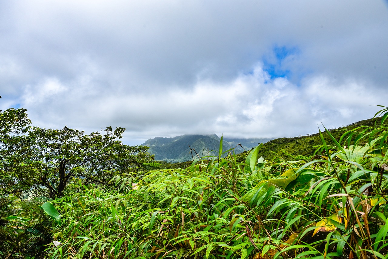 la-soufriere-volcan-antilles-la-rochelle-voyages