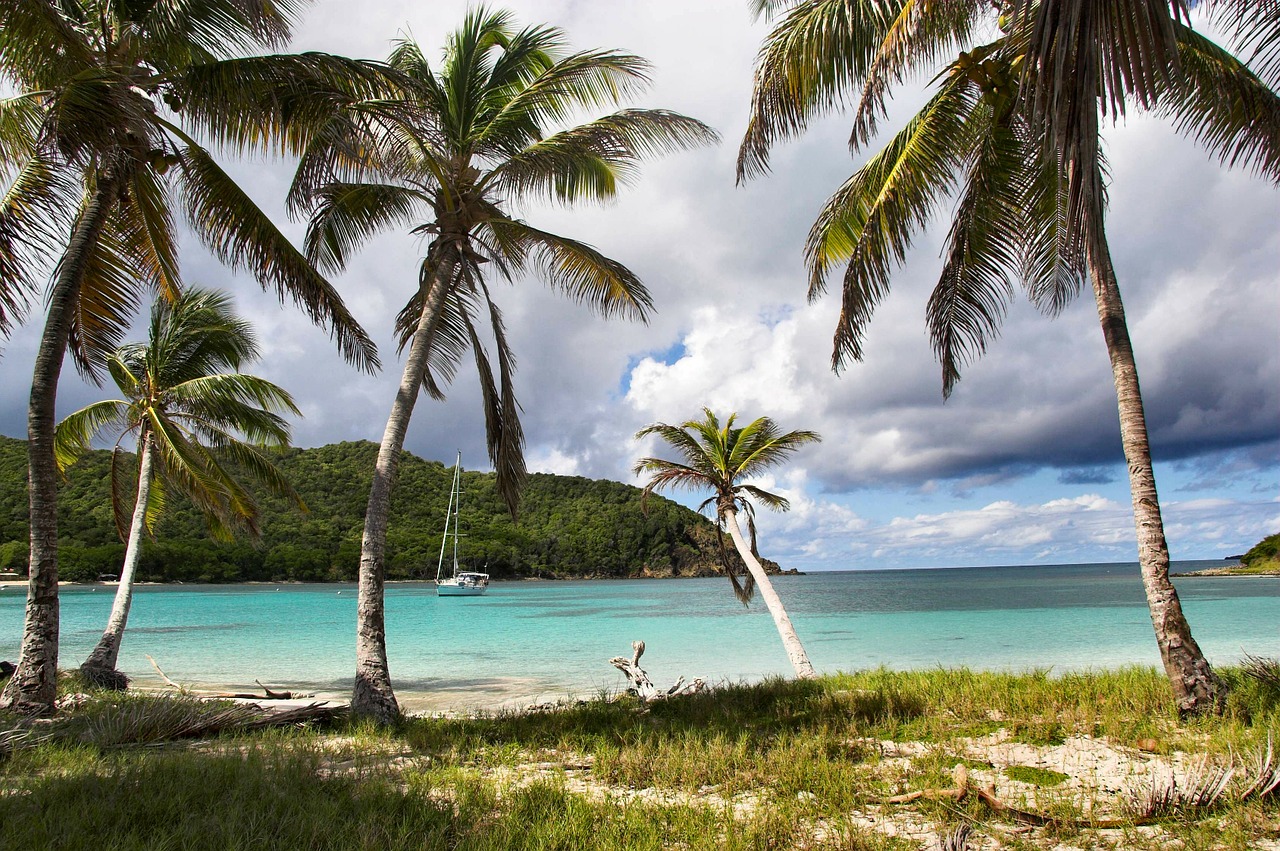 plage-guadeloupe-antilles-la-rochelle-voyages