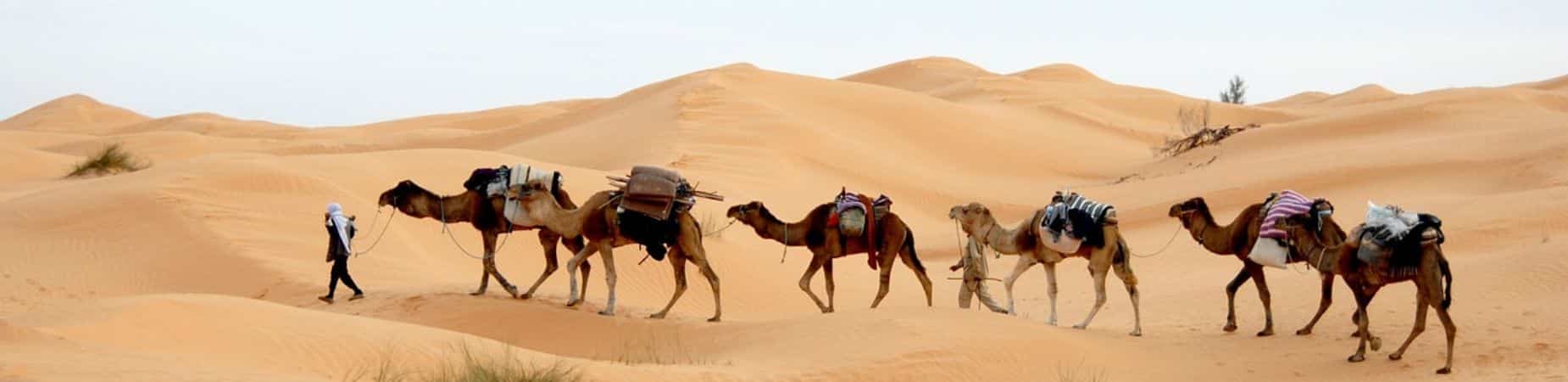 desert-tunisie-la-rochelle-voyages