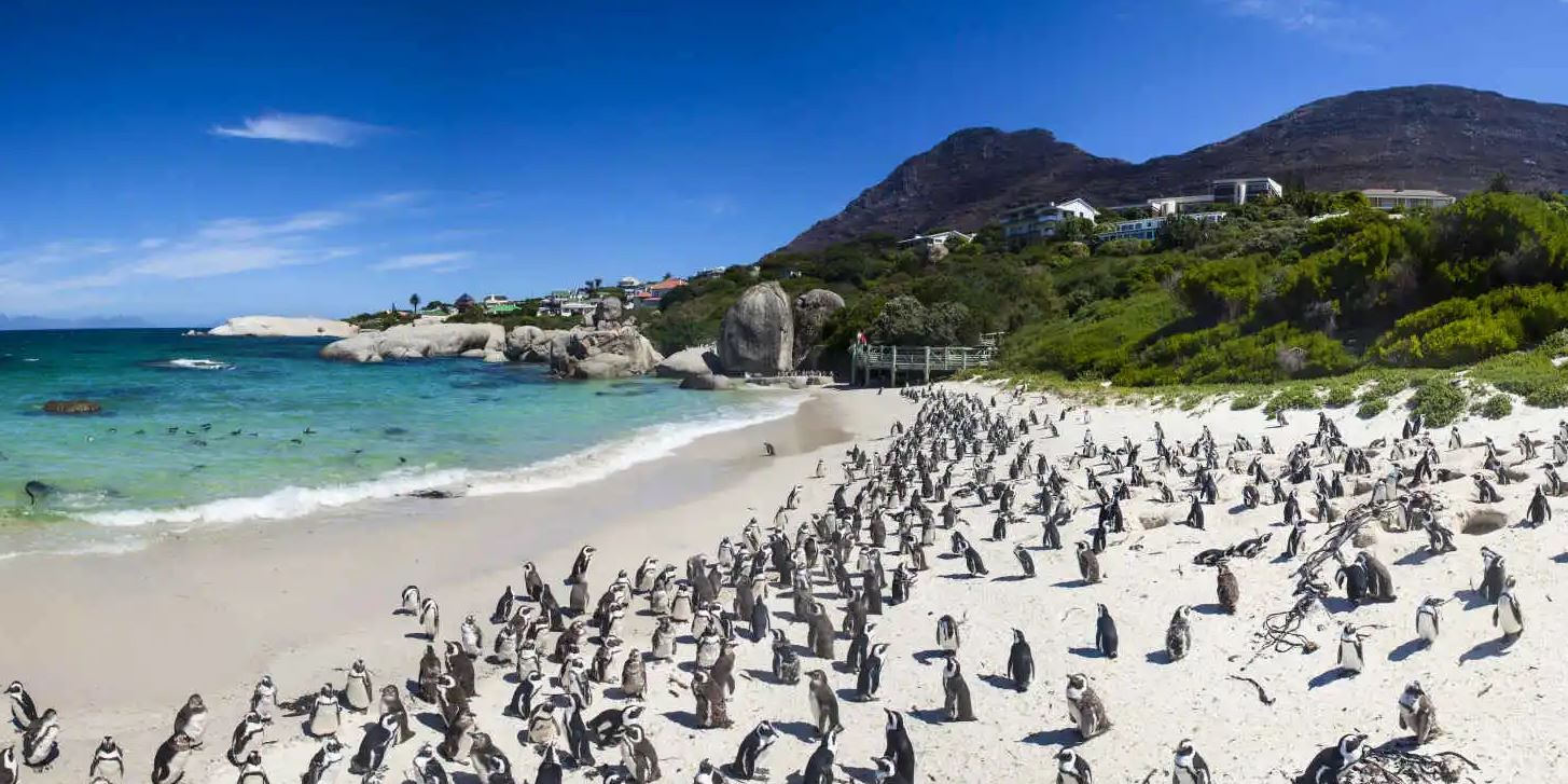 sud-africana-plage