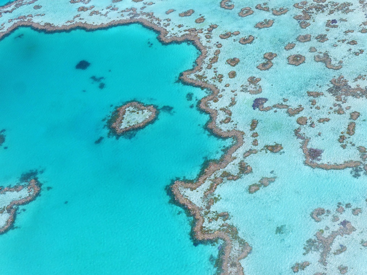 odyssée-australienne-coeur-la-rochelle-voyage